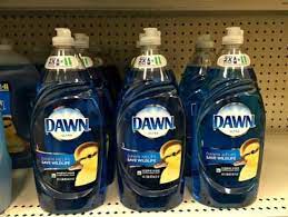 Dawn Dish Soap Kill Fleas On Dogs Free Delivery Goabroad Org Pk