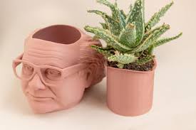 The Original Danny Devito Frank Reynolds Head Planter for House Plants and  Succulents