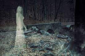 We countdown 5 supposed real life dinosaurs caught on camera. Creepy Urban Legends From Every Us State