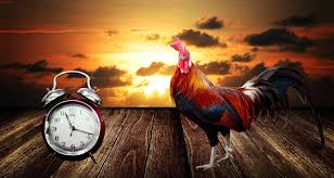Maybe you would like to learn more about one of these? Daylight Saving For 2021 When Does The Time Change Farmers Almanac