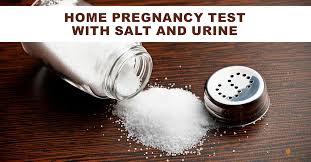 Pregnancy Test With Salt Urine