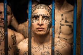 Mayra Maravilla's Instagram, Twitter & Facebook