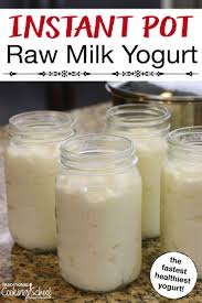 Thick Raw Milk Yogurt In The Instant Pot Traditional Cooking School