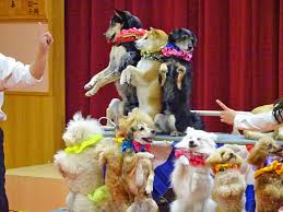 いずみ第三保育園