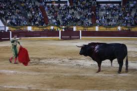 ANTONIO FERRERA INNOVADOR – Taurinos Solidarios