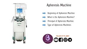 Image result for Apheresis