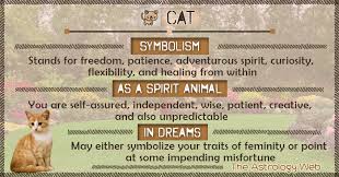 Cat (general interpretation) dream meaning. Cat Meaning And Symbolism The Astrology Web