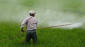 Surat kerja atau surat keterangan kerja dari perusahaan memang wajib dikantongi ketika anda hendak mengajukan baik kpr subsidi maupun kpr konvensional. Niat Membangun Desa Mahasiswa Kkn 15 Tahun Tak Pulang Kampus