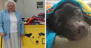Brilliantly combining ethnic knitting traditions and a clean. 89 Year Old Woman Has Knitted 450 Blankets For Shelter Dogs And It S Adorable Bored Panda
