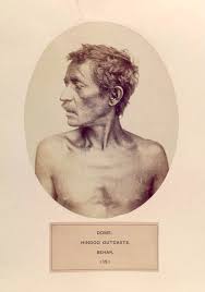 File:The People Of India 1868 Dome.jpg ...