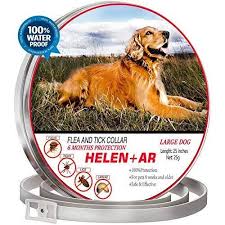 Flea Collar For Dogs 6 Months Protection One Size Fits All Waterproof Dog Flea Medicine Flea And Tick Prevention For Do Dog Flea Treatment Fleas Sick Pets