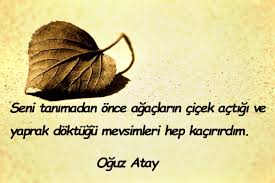 Vücudumuzda bile bir yerimizi vurduğunuz da ilk renk mordur. Yaprak Ile Ilgili Guzel Sozler Enguzelsozler Com Tr