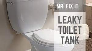 How to independently seal a leaking toilet tank from the bo. How To Fix A Leaky Toilet Tank Nuts Bolts Youtube