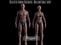 For example, many men study female body language as a means of determining when women are attracted to them. Realistic Human Basemesh Rigged Uvmapped 3d Model 3