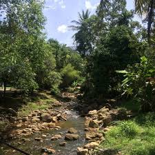 Dengan perancangan itinerary yang betul, percutian anda disini pasti menarik dan memberi kepuasan tersendiri. Fotos En Kg Raga Yan Besar Kedah