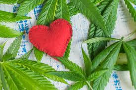 Weed For My Valentine Exclusive Cbd Valentine S Day Gift Ideas