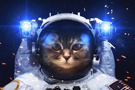 Astronaut Wallpapers Wallpaper Cave Wallpapers in ultra hd 4k 3840x2160, 1920x1080 high definition resolutions. wallpaper cave