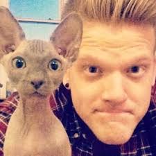 Scomiche as cats👬🐱 (@scomicheascats)