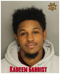 Deputies with the Berkeley County Sheriff's Office were working a license  checkpoint