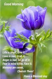 Good morning is not just a word, its an action and a belief to live the entire day well. Good Morning Have A Blessed Day Quotes Quotesgram