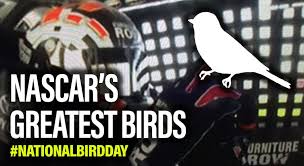 More than 300 birds crashed into the nascar hall of fame in north carolina on tuesday night, making for an eerie sight in uptown charlotte. Nascarcasm Nascar S Greatest Birds Nascar Com