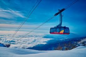 初めての雪山に！ アクセス抜群！ 楽しい雪山トリップができるスキー場3選【関西中京編】 - SURF&SNOW