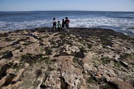 F c dm a high seas or in low seas, bb bb a i'm gonna be your friend, a bb bb f f you know that i'm gonna be your friend. Outdoor Adventure 4 Spectacular Bay Area Tide Pools And Beaches To Explore