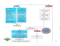 Schematic Pathophysiology Cva