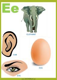 3)loan words not completely assimilated phonetically. Words Starting With Letter E For Kids Smart Kindergarten Kids