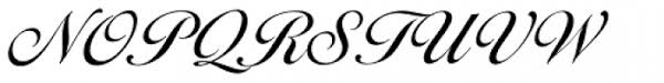 Try, buy and download these fonts now! Ballantines Script Ef Regular Font What Font Is
