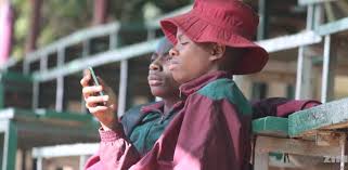 How To Access Your Zimsec O Level Results Online Techzim