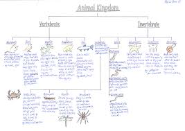 Classification Of Animals Vertebrates And Invertebrates