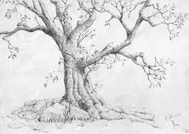 Pin By Jorge On Tattoos Tree Drawings Pencil Tree Pencil Sketch Tree Sketches