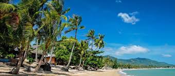 Die erfolgsquote scheint da am höchsten zu sein, von ch nach thl zu machen. Beste Reisezeit Thailand Infos Zu Klima Wetter Regenzeit