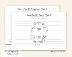Closeout Baby Tooth Record Keepsake Chart By