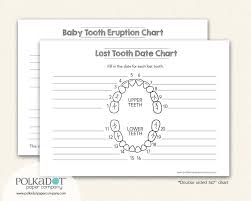 closeout baby tooth record keepsake chart by