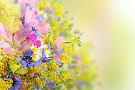 Just take a stroll through our beautiful garden and choose the wallpaper you would like to display on your desktop, laptop, phone or tablet. Found On Bing From Www Pixelstalk Net Beautiful Flowers Wallpapers Beautiful Flowers Hd Wallpapers Flower Wallpaper