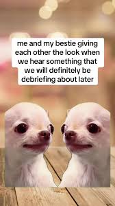 Meme Friendship: The Look We Share