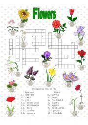 Daffodil Like Flower Crossword Clue Best Flower Wallpaper