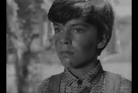 RICK'S REAL/REEL LIFE: Edward Albert, Forever Young in “Butterflies Are  Free” 1972