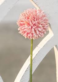 We did not find results for: Blush Pom Pom Flowers The Vintage Home Studio