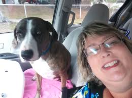 PUPDATE: REUNITED 🐾 Missing 📍 St Cloud, Narcoossee/Jack Brack/Jones