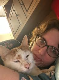 Respecting a cat's personal space: the case of Purrlot Ducky's nose cone