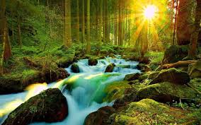 3d Nature Wallpapers Top Free 3d Nature Backgrounds Wallpaperaccess Free 4k hd high quality 3d and abstract desktop, mobile, tablet, iphone, android, macbook wallpapers with many more resolutions available.