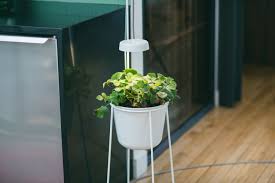 Hydroponic indoor gardens led grow light home hydroponic growing systems indoor growing lighting planter of indoor garden plant. Dark Apartment These Planters Have Built In Grow Lights Apartment Therapy
