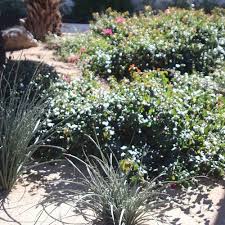 We did not find results for: The 8 Best Government Buildings In Greater Palm Springs California Desert