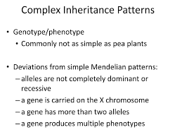 Ppt Mendelian Genetics Powerpoint Presentation Free Download Id 1948253