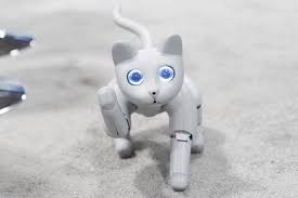 Meet Marscat A Robot Cat With Lots Of Love To Give And Room To Grow In 2020 Robot Cat Robot Technology Robots Concept