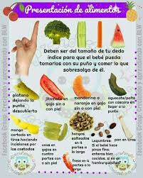 Comida Bebe 6 Meses Comida Bebe 6 Meses Recetas De Comida Para Bebes Comida Para Bebe