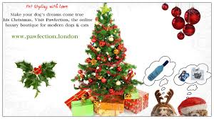 No spruce, no flower ornaments, snow and snowmen, but there are so many fun things about christmas beach. 99 Pawfection News Ideas In 2021 Artisan Dog Dog Bakery Summer Fashion Shoes